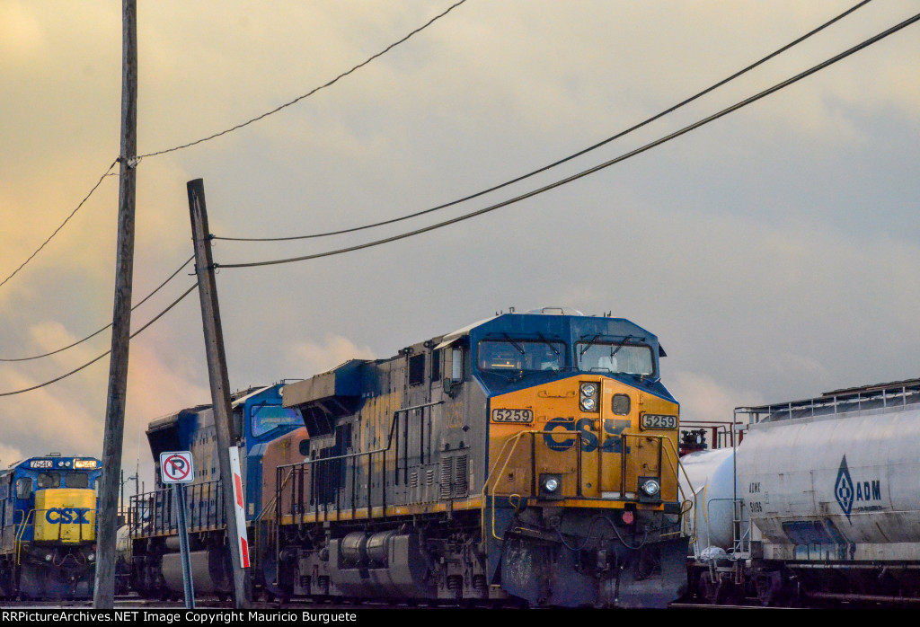 CSX Locomotives in the Yard